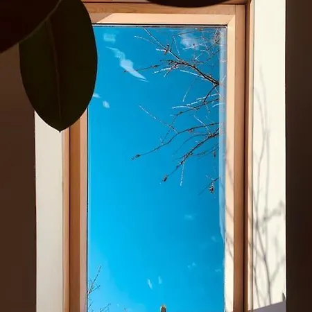 דירה Bright And Pleasant קלוז'-נאפוקה