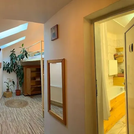 Bright And Pleasant קלוז'-נאפוקה