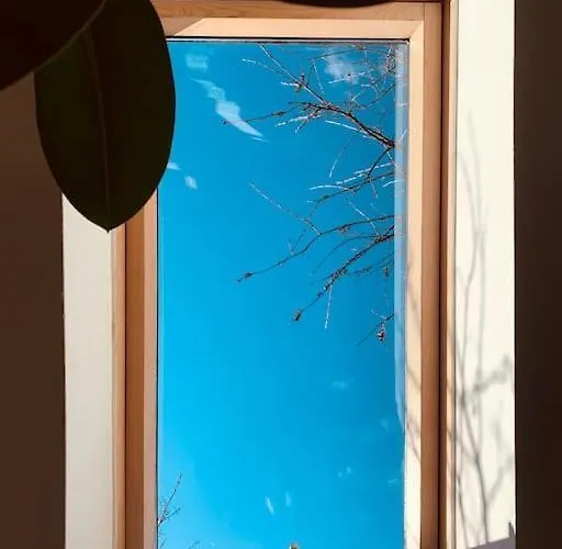 Apartmán Bright And Pleasant Kluž