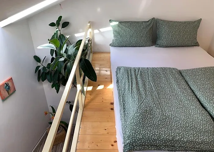 Bright And Pleasant *