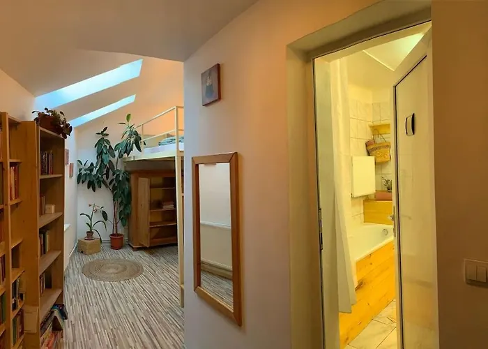 Bright And Pleasant Kluž