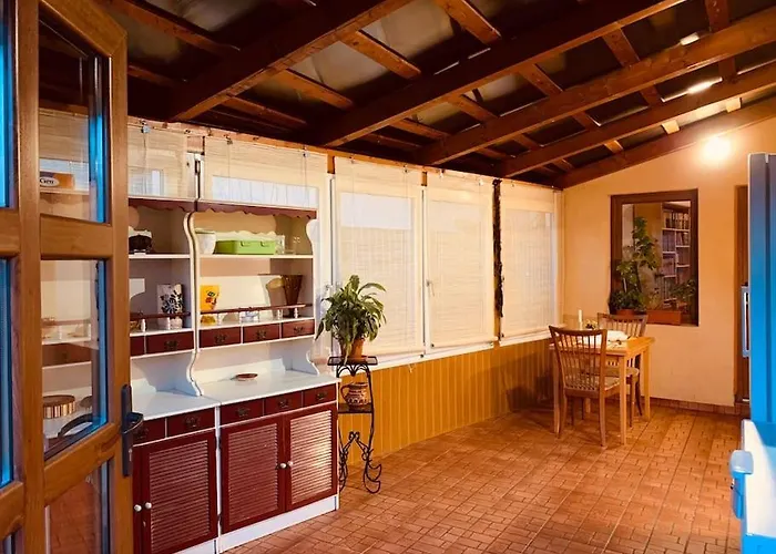 Bright And Pleasant * Kluž